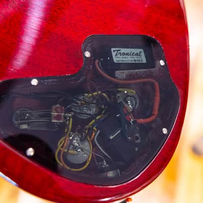 Gibson SG Special Robot 2008 image 10
