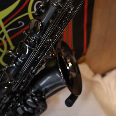 Cannonball Big Bell Stone Series Alto Saxophone Raven Ice - A5-B Ice B image 3