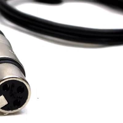 LASE  LASE 1.5ft Y Cable w/ NEUTRIK One NC3MXX 3-Pin XLR Male to Two NC3FXXX Female image 7
