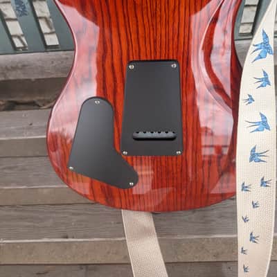 PRS SE Special - Swamp Ash image 6