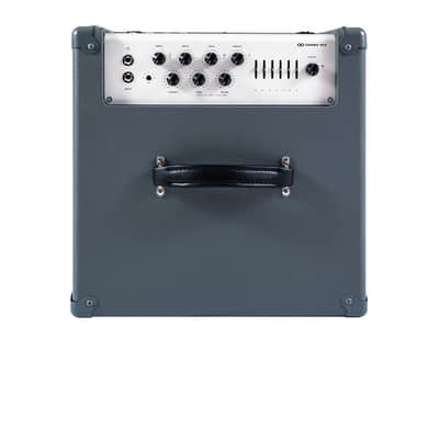 Darkglass Electronics Infinity 500 2x10 Bass Combo Amp image 2