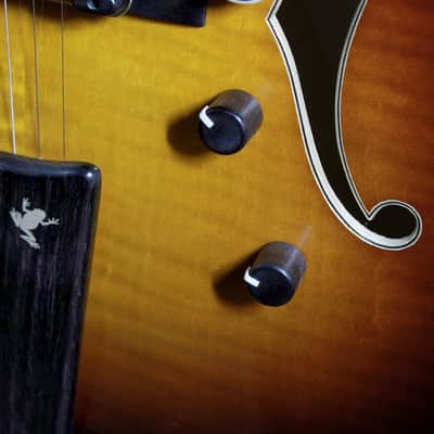 Eastman AR480CE John Pisano 30th Anniversary Archtop Electric Guitar Sunburst image 22