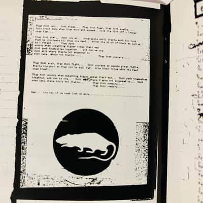 Pearl Jam VS. CD Album aka “Versus”, “Verses” image 7