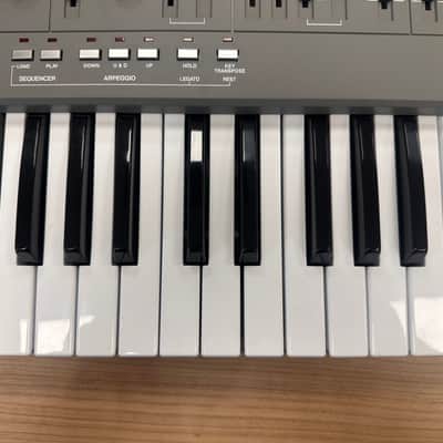 Roland SH-101 32-Key Monophonic Synthesizer 1982 - 1986 - Gray image 6