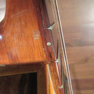 Giannini Craviola 6n Nylon Classical image 10