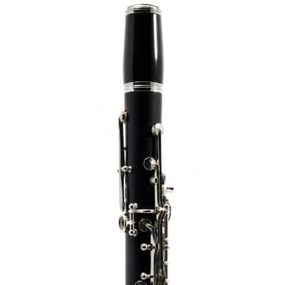 Buffet Crampon R13 Professional Bb Clarinet in Grenadilla SN 542908 image 3