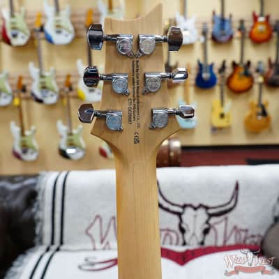 Paul Reed Smith PRS SE Series Swamp Ash Special SAS Vintage Sunburst 8.40 LBS image 8