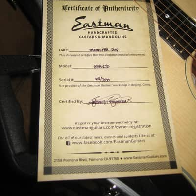 Eastman E1SS-LTD, best deal in its category! image 5