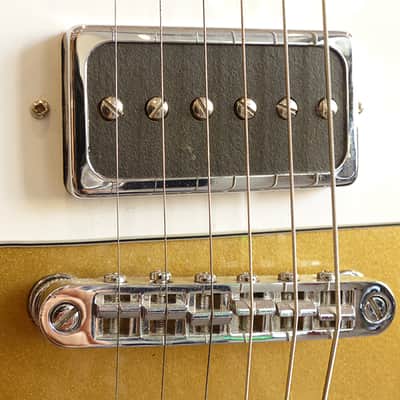 Custom 77 Lust For Life Gold Top Lefty image 7