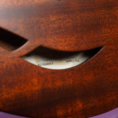 2014 Taylor T5z Classic Semihollow Acoustic/Electric Guitar (VIDEO! Fresh Work, Ready) image 18