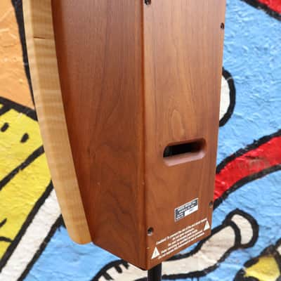 Moog Etherwave Pro Theremin image 4