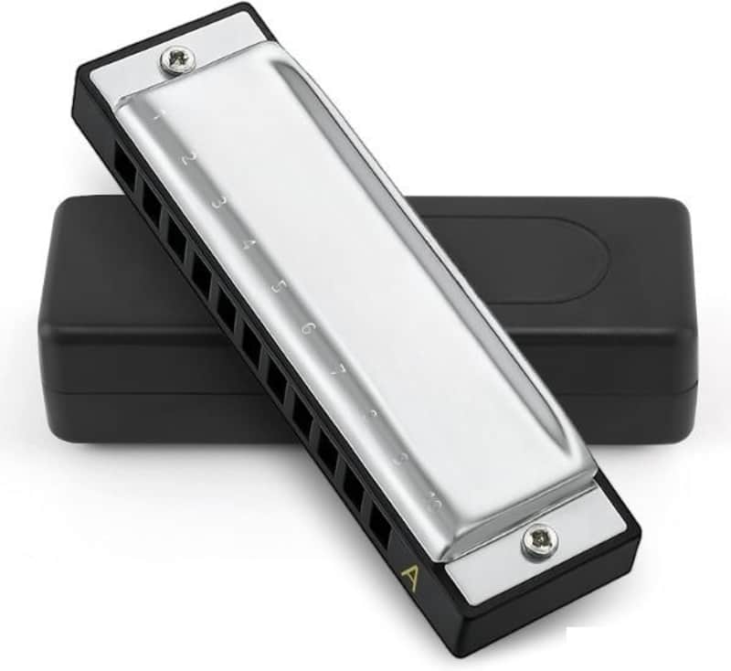 Blues Harmonica, Key of D, 10 Hole 20 Tone Diatonic Harp Mouth Organ, Stainless Steel Deluxe Harmonica for Adults, Students, Beginners image 1