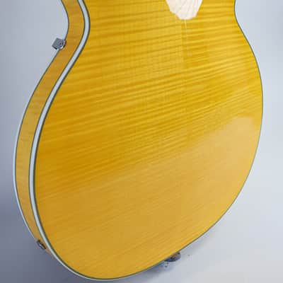 Harmony H620 Single Cut Semi-Hollowbody (~2008) image 16