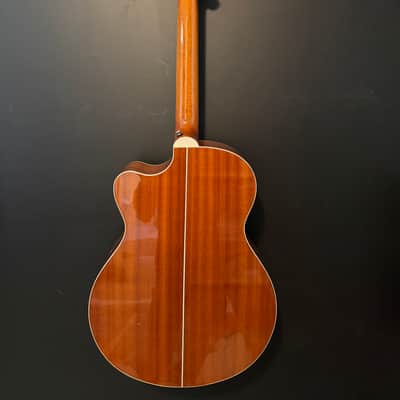 PRS SE Angelus Custom with Electronics 2012 - 2014 - Natural image 6
