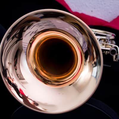Eastman ETB848G Bass Trombone image 5