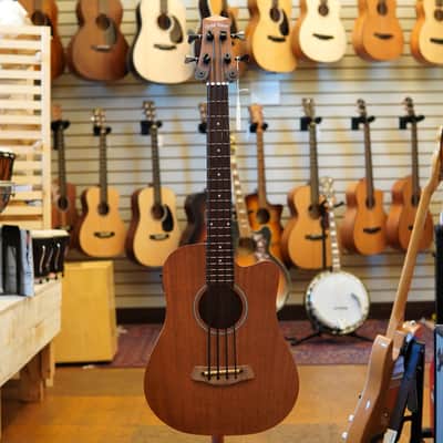 Gold Tone M-Bass 23" Scale Acoustic-Electric MicroBass w/Padded Gig Bag image 4