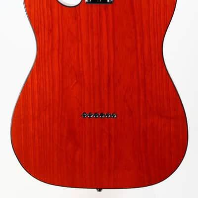 2001 Fender American 90's Telecaster Thinline DOUBLE BOUND TORTOISE Made in USA, ONE-OFF! Matching Headstock! image 9