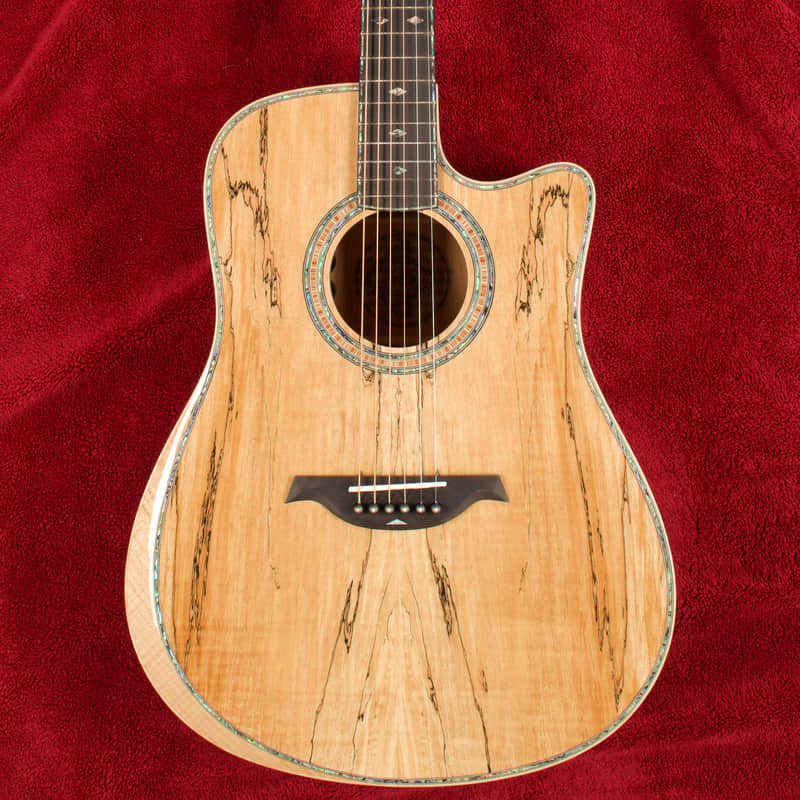 B.C. Rich Acoustic Cutaway 6 -String - Spalted Maple - W/Matrix Infinity VT & Hardcase image 1
