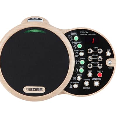 Boss DR-01S Rhythm Partner - Open Box