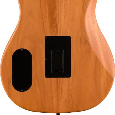 Fender Highway Series Dreadnought Acoustic Guitar. Rosewood Fingerboard, All-Mahogany image 3