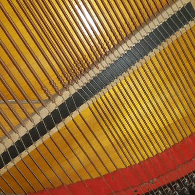 Rare German Antique Carl Ecke Upright Piano Circa 1890 image 15