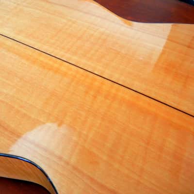 Lucida Artista Picado LG-725 flamenco guitar image 3