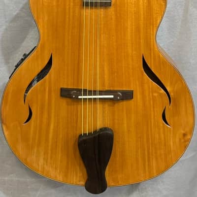 Blueberry Handmade Nine String Archtop Guitar Built to Order image 1