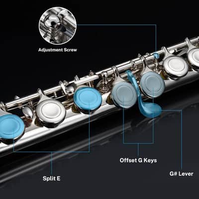 POGOLAB Closed Hole C 16 Keys Flute Instrument Kitchen Student Flute for Beginner Advanced Player image 3