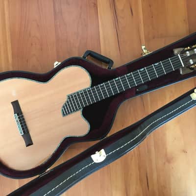 Sand Guitars electric nylon string Mahagoni - Barbera pickup image 1
