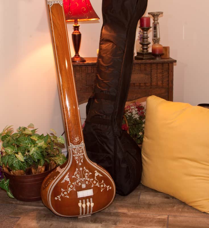 AB Satarmaker TMSP-ABS 58-Inch Professional Male 4-String Tanpura w/Gig Bag image 1