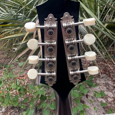 Collings Mt - Sunburst image 5