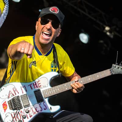 Tom Morello Rage Against The Machine Arm The Homeless Guitar Stickers Decal Set image 2