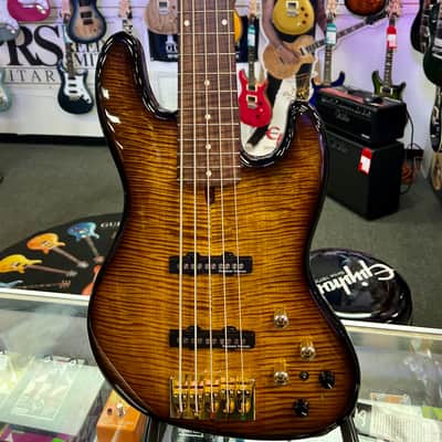 Wilkins Exotic 5 String Bass Made In USA with Gig Bag - Pre Owned image 2