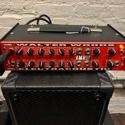 WALTER WOODS ハードケース ベースアンプ ヘッド ウォルターウッズ WALTER WOODS ハードケース ベースアンプ ヘッド ウォルターウッズ