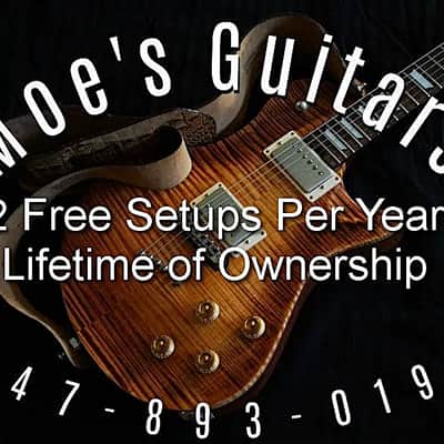 Gibson Les Paul 1960 (RO) 2004 - Sunburst image 9