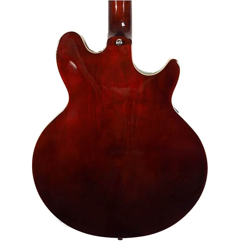 Epiphone Jack Casady Signature Bass Left-Handed image 3