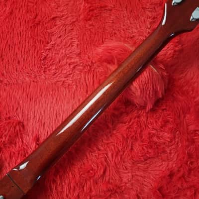 Super Rare 1982 Burny SG-75 AY Angus Young from AC/DC Artist Model - SG Standard - Cherry Red - Made in Japan by Kasuga (Navigator & Heerby) MIJ image 14