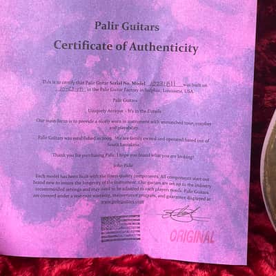 Palir Jazzmaster     Porter Pickups ...Mastery Bridge... Smoke Free w OHSC image 7