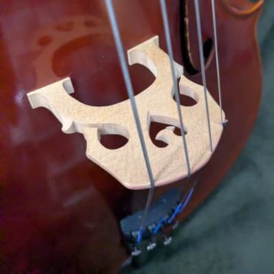 Cello Samuel Eastman VC100 4/4 size 1999 image 4