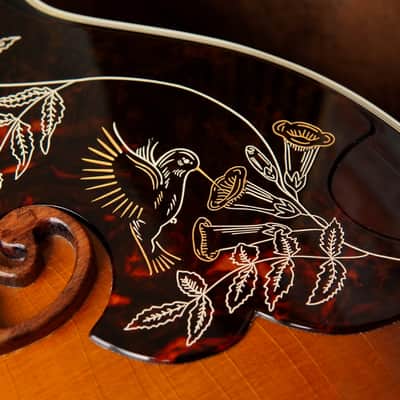 Gibson SJ-200 Hummingbirds and Flowers image 10