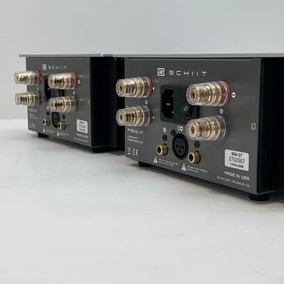 Schiit Aegir Stereo Power Amplifier; Silver (PAIR) image 6