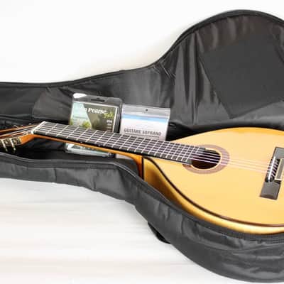 Prudencio Saez Cantinga Travel Guitar image 18