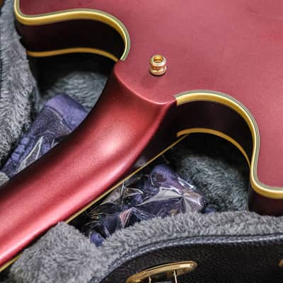 D’Angelico Deluxe DC Limited Edition 2020 | Matte Wine image 12