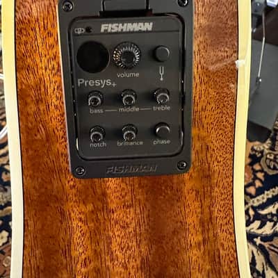 Tasman Guitars TA300 E  Dreadnought w/ Fishman Presys Plus  Natural( ALL SOLID) image 14