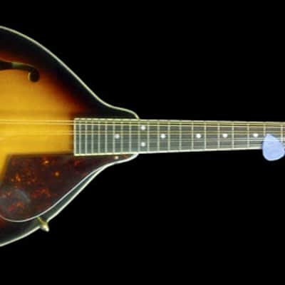"THE GRIP" MANDOLIN PICKUP with FLEXIBLE MICRO-GOOSE NECK by Myers Pickups by Myers Pickups image 3