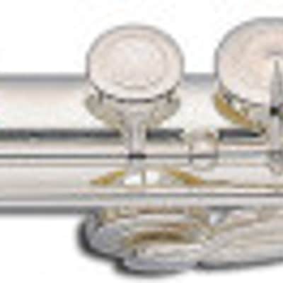 STAGG Silver-Plated C Flute with Closed Holes, Offset G, and Split E Mechanism image 2