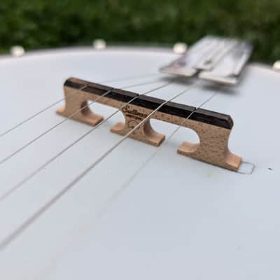 Deering Goodtime 5 String Openback Banjo image 6