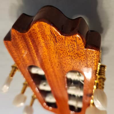 Dauphin DS35 1993 - Made in Spain - Excellent! Molded Hard Case Natural image 23
