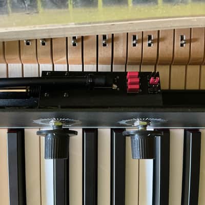Rhodes MK 8 Stage 61 61-Key Electric Piano image 14