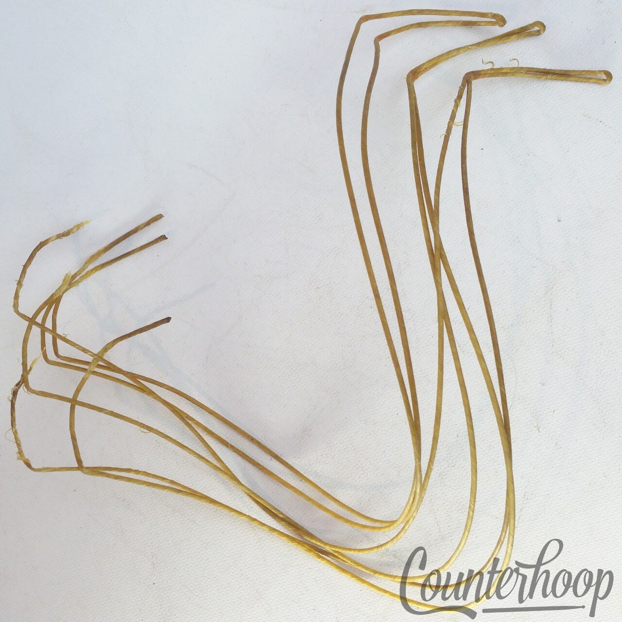 Ludwig&Ludwig "Cat"Gut(Sheep)Natural Snare Drum Wires/Strands Vintage 10s Catgut — main photograph